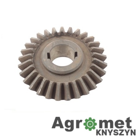 Koło zębate II Z-29 – rozrzutnik Polski