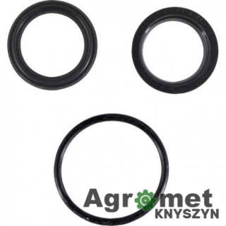 KOMPLET USZCZELNIEŃ F160 F-160 F 160