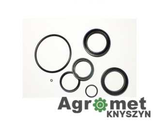 KOMPLET USZCZELNIEŃ F303 F-303 BIAŁORUŚ BX025