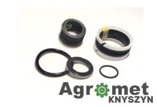 KOMPLET USZCZELNIEŃ F39 F-39