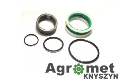 F-43 – Komplet uszczelnień siłownika wysięgnika tylnego Koparko-Ładowarki Ostrówek CK2-100x60x850