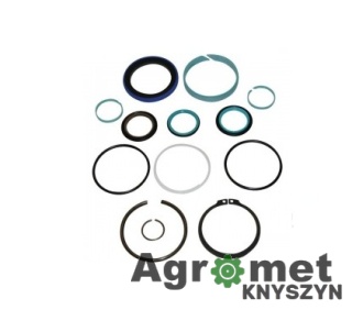 KOMPLET USZCZELNIEŃ G001990010890 300 Q28/63 SIŁOWNIK PODNOŚNIKA FENDT NWS01766