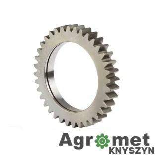 Kolo Zębate Z36