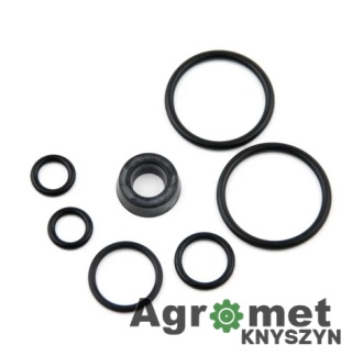 Komplet uszczelek do zaworu powietrza 53234902 oryginał Zetor